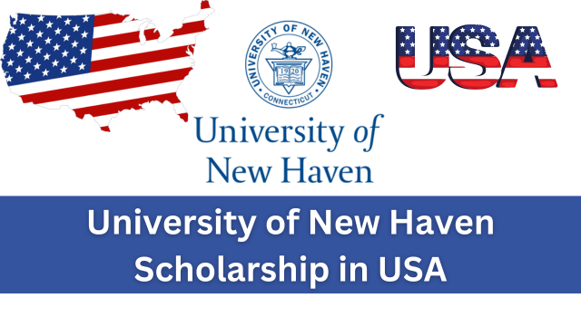 University of New Haven Scholarship in USA 2024 –  Education Bloger